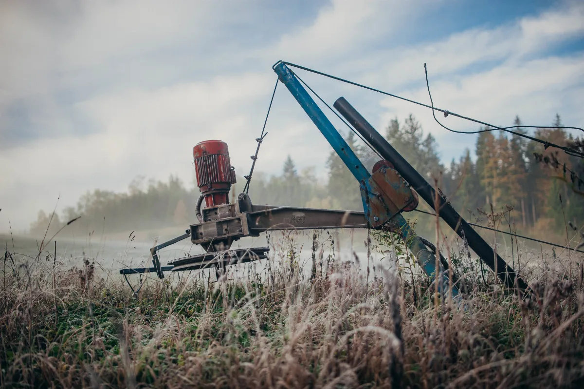 Harmonogram oprysków chwastów w Dębicy