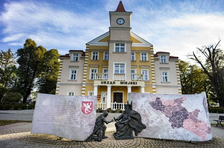 Konsultacje społeczne nad Planem adaptacji do zmian klimatu w Dębicy zakończone